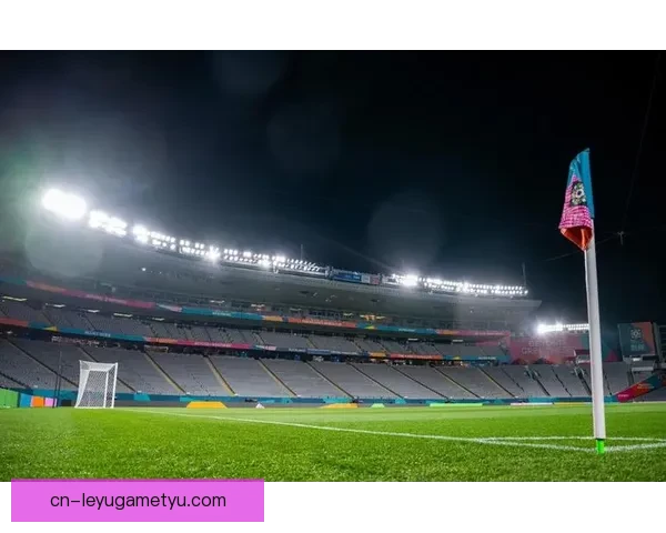 世界杯揭幕战球场或难如期完工 世界杯揭幕战球场或难如期完工